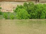 Mathers Hole at 22,000 cfs