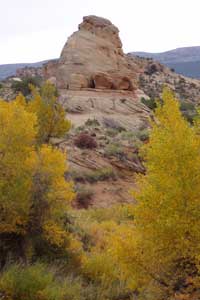 This geological formation is often refered to as "elephant toes".