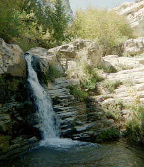 Ely Creek Falls