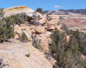 Rocky outrcrop with juniper trees.