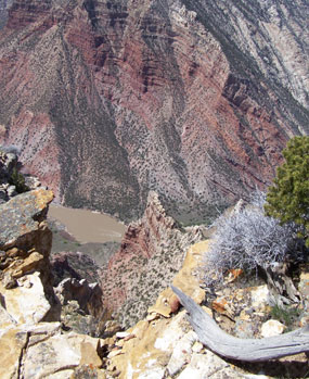 Overlooking rocks and river into canyon.
