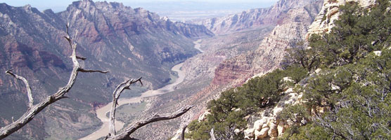 View into canyon with river at bottom.