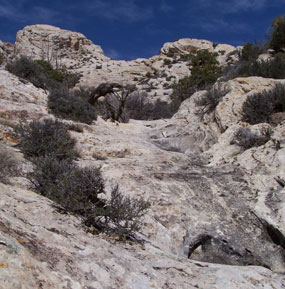 Craggy white sandstone.