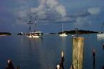Sailboats at Garden Key