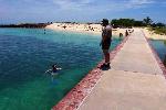 Snorkeling at Dry Tortugas National Park