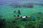 Visitors snorkel at Dry Tortugas