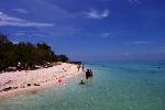 Visitors Swim at Dry Tortugas