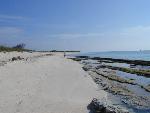 Beach on Loggerhead Key