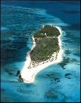 loggerhead key
