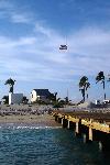 Loggerhead key