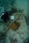 underwater archaeology