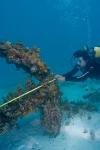 Underwater Archaeology