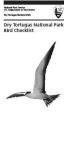 Bird List for Dry Tortugas National Park