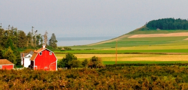 JenneBarn375