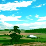Smith Farm