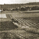 Ebey's Landing