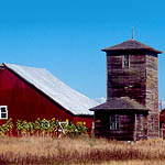 A farmhouse at Ebey's Landing
