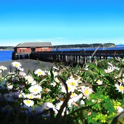Wharf building with flowers in front.