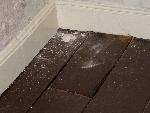 Photo of Loose floorboard in Poe's home