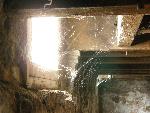 Photo of Creepy spiderwebs in basement