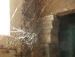 Photo of Creepy spiderwebs in basement
