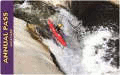 2013_military_pass_for_web_120