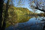 FIRE POINT FROM BLUE GILL POND