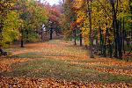 Marching Bear Mounds - Autumn