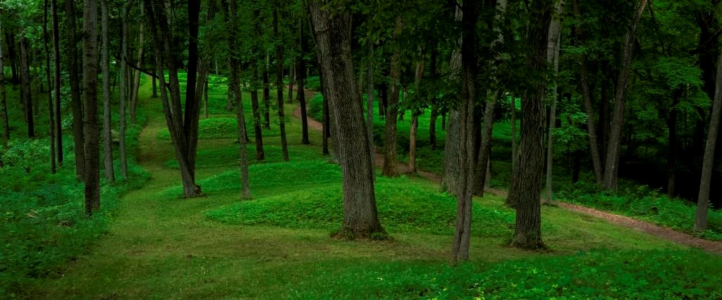 Conical Mounds Round shaped mounds along trail