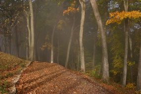Hiking Trail at Effigy Mounds