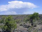 A panorama of lava at Lava Falls