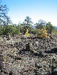 Black cairns in black lava