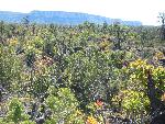 A jumbled landscape
