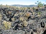 The bleak beauty of lava country