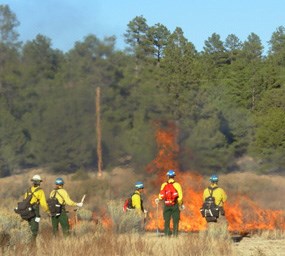 Five people with hardhats, backpacks, and brightly colored jackets stand and monitor a fire.