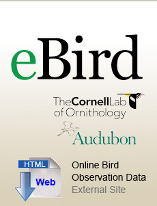 View bird sightings, or log in and upload your own...