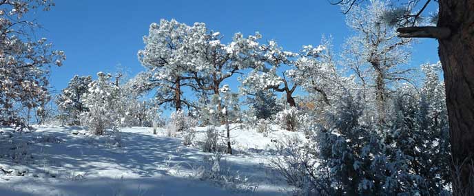 Snow on the lava