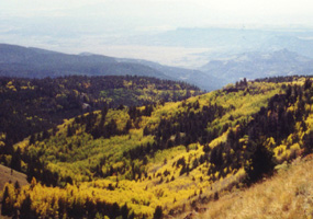 Fall color radiates from the aspen groves of Mount Taylor.