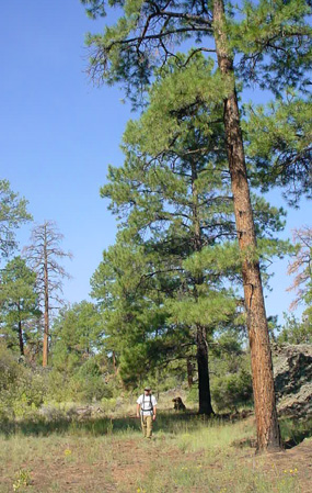 A hiker treks along the Continental Divide Trail near El Calderon