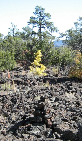 A lava cairn stands along the Zuni-Acoma Trail.