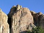 Image of a dog on the rock