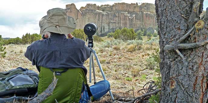Raptor Watch