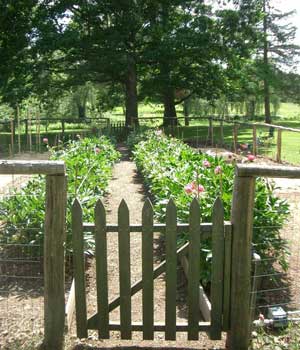 Garden of Hope, Peace and Justice