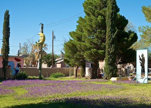 park with purple flowers and trees