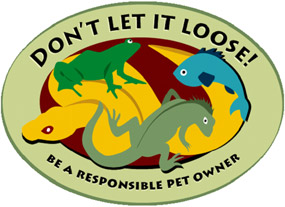 Don't Let It Loose logo