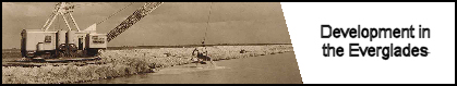 Development In The Everglades Banner