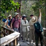 Ranger-Led Walk on Mahogany Hammock Trail