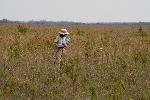 Scientist Monitors Growth in the HID