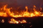 Prescribed Fire at Night