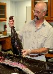 Scientist conducts a stomach content analysis